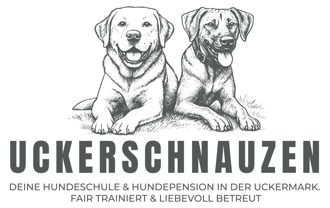 Uckerschnauzen-Hundeschule & Hundepension
