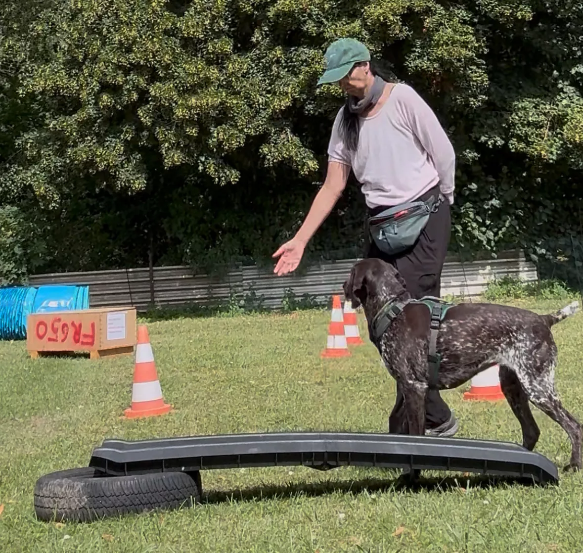 Hundetraining fit für den Alltag